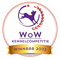 wow_competitie_200.jpg